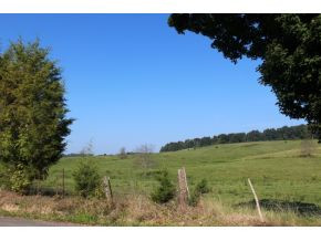 2340 Old Snapps Ferry Road Chuckey, TN 37641 - Photo 8 of 20 Photo 8