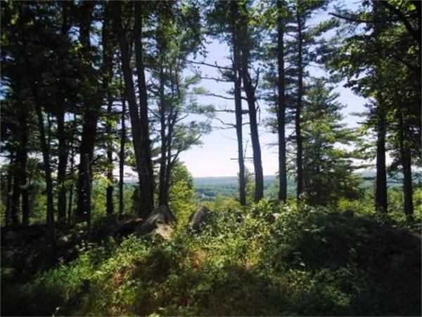 Lot 7 Ridge Road Hardwick, MA 01037 - Photo 12 of 20 Gallery Image 12