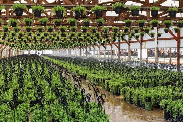 $2,059,900 | 787 Cassou Road, San Marcos, CA 92069