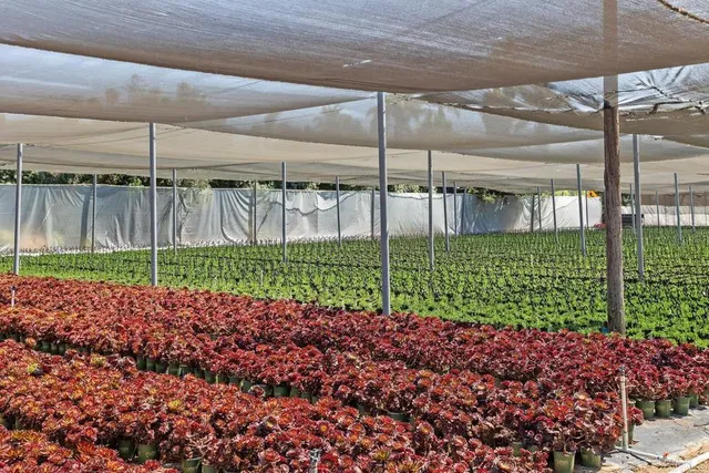 $2,059,900 | 787 Cassou Road, San Marcos, CA 92069