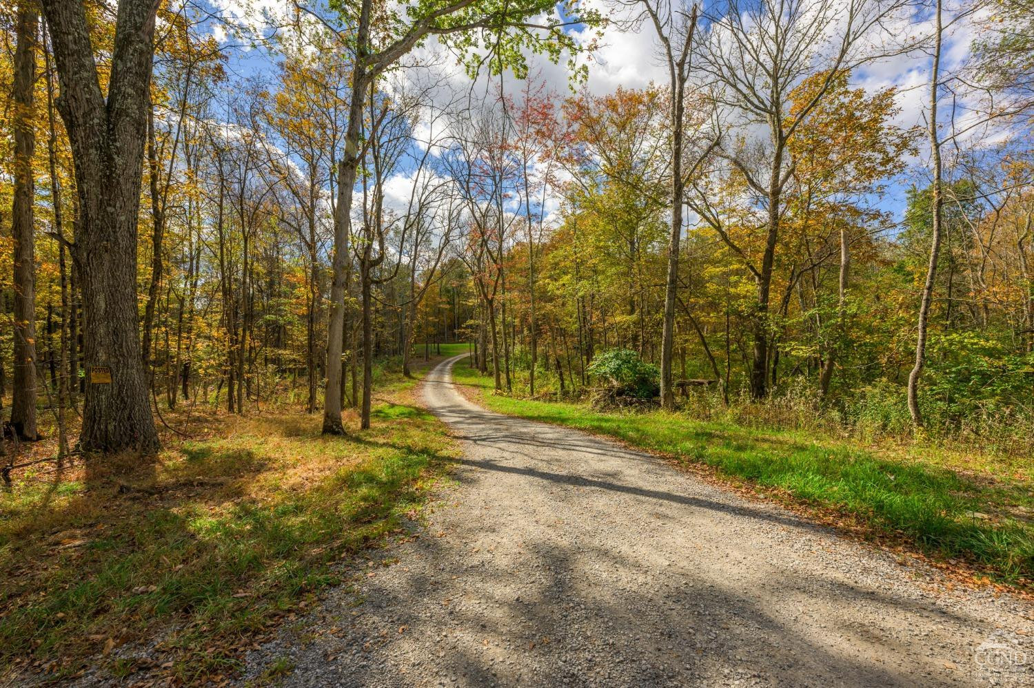72 Notzel Road Taghkanic, NY 12502 - Photo 36 of 48 Photo 36
