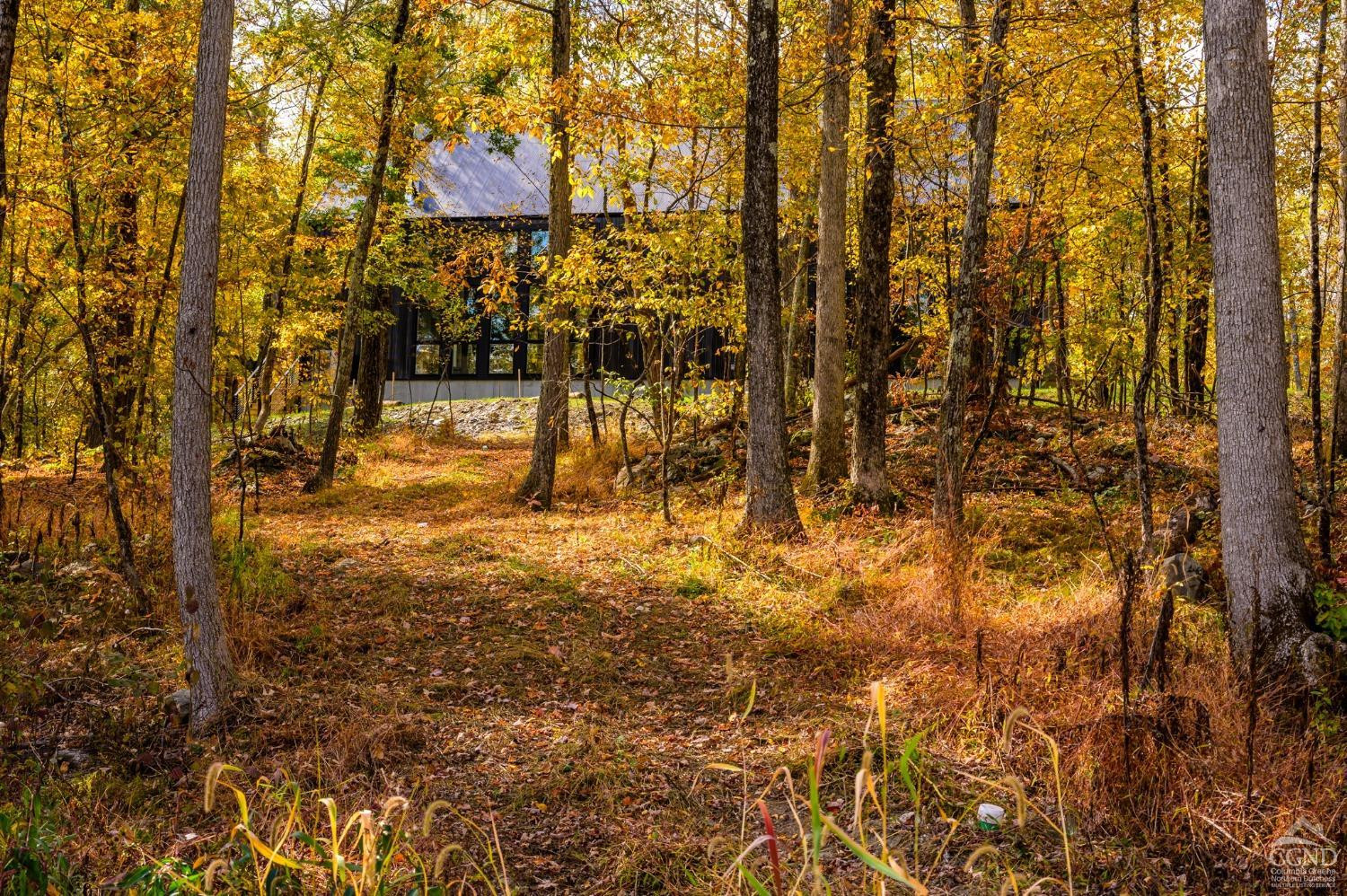 72 Notzel Road Taghkanic, NY 12502 - Photo 38 of 48 Photo 38