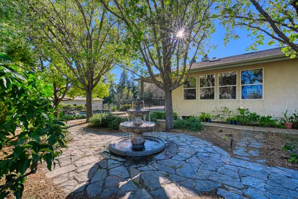 a view of a backyard with table and chairs potted plants and large tree