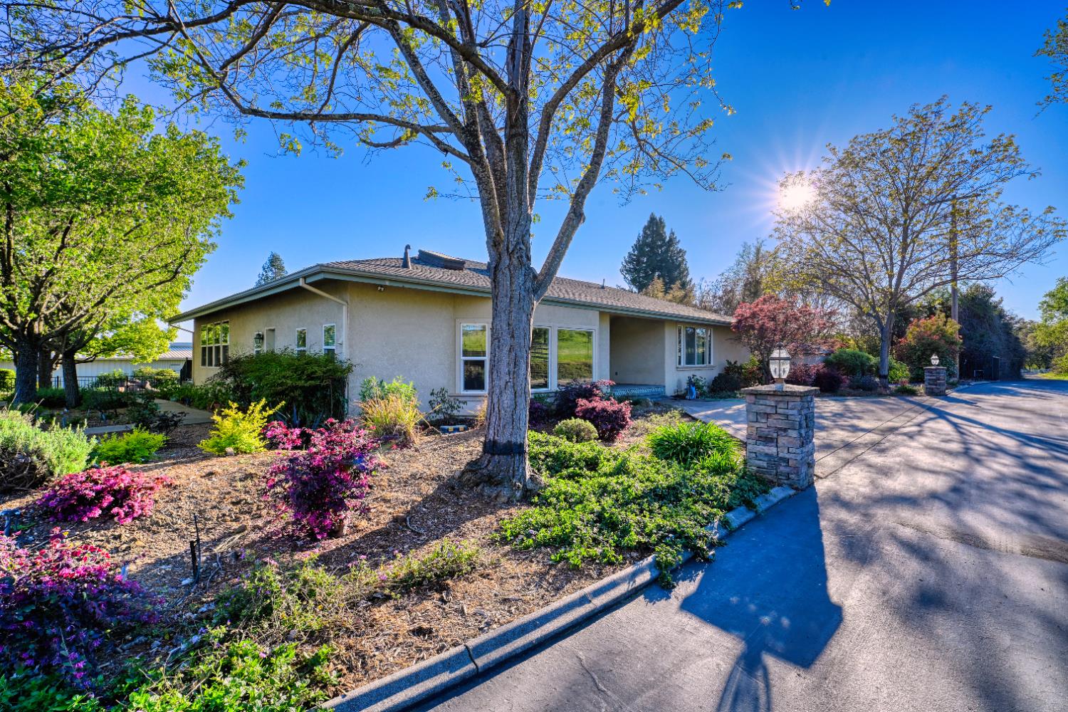 4841 Val Verde Road Loomis, CA 95650 - Photo 34 of 99 a view of a house with a yard and garden
