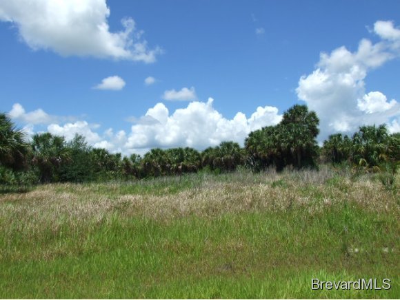 1776 Garvey Road Palm Bay, FL 32908 - Photo 1 of 1 Primary Photo