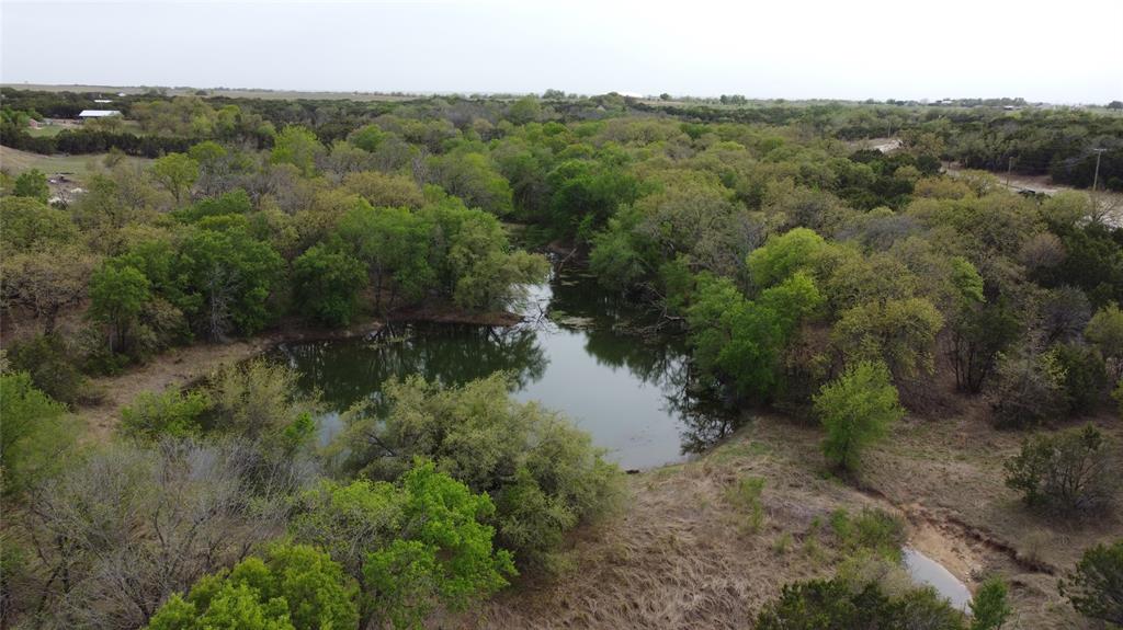 1033 Creek Crossing Road Nemo, TX 76070 - Photo 12 of 12 a view of a forest with a lake