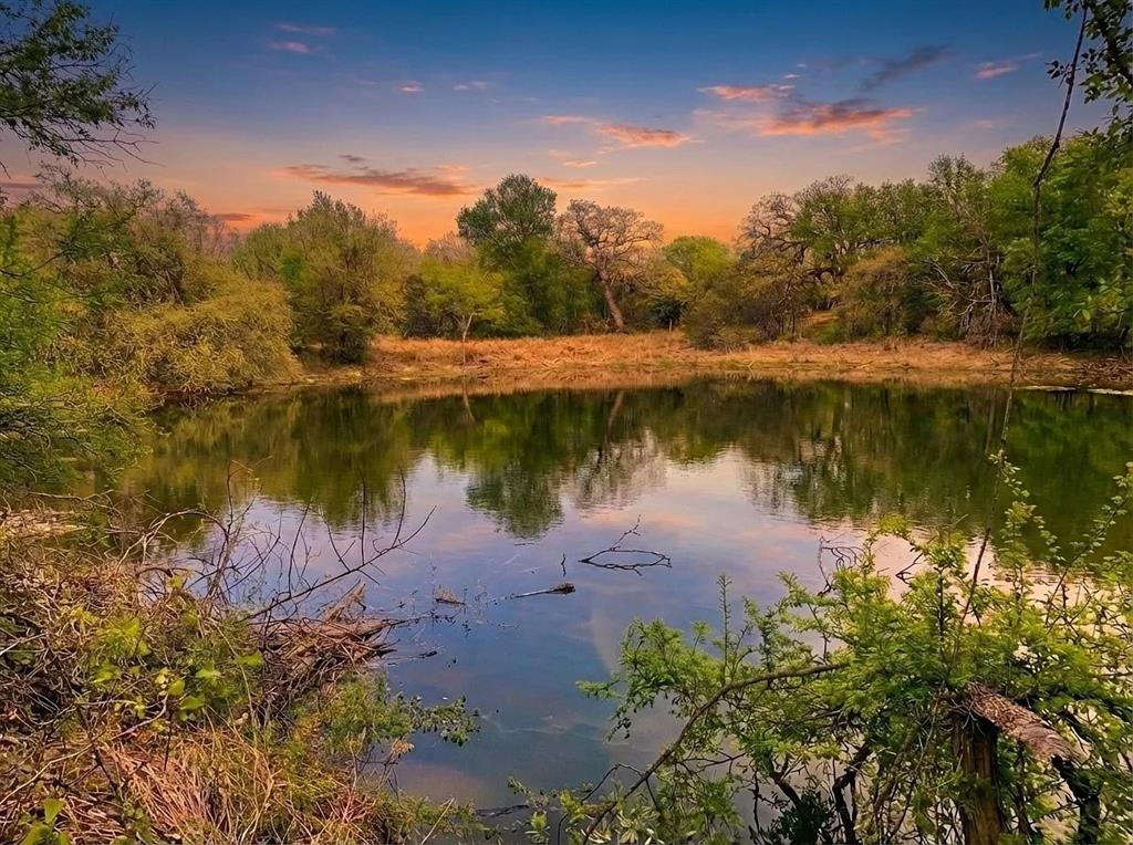 1033 Creek Crossing Road Nemo, TX 76070 - Photo 2 of 12 a view of a lake with a yard