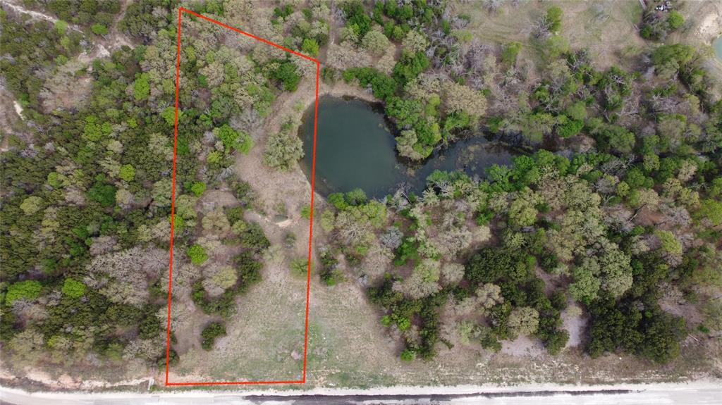 1033 Creek Crossing Road Nemo, TX 76070 - Photo 5 of 12 a view of a yard in a forest