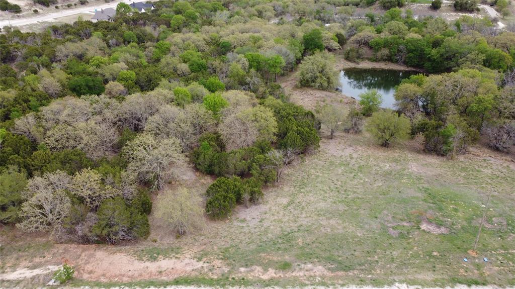 1033 Creek Crossing Road Nemo, TX 76070 - Photo 10 of 12 a view of a yard with plants and a tree