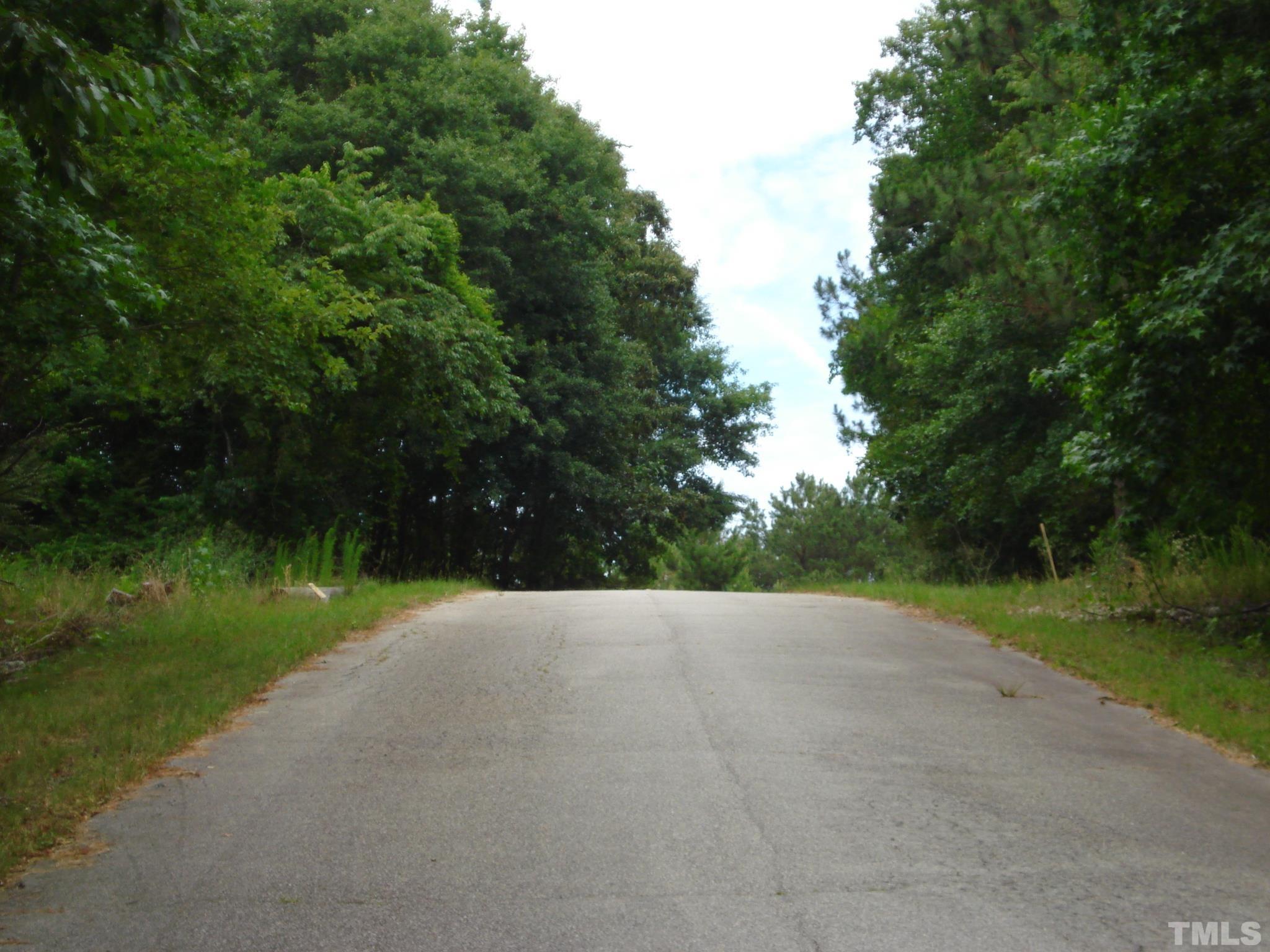 4954 Highway 55 Erwin, NC 28339 - Photo 12 of 24 a view of an outdoor space and a yard