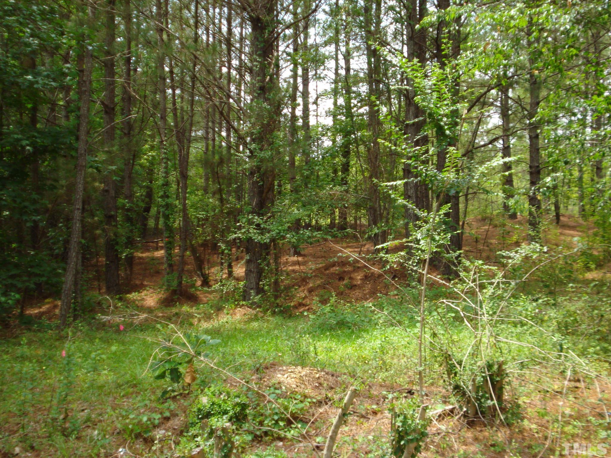 4954 Highway 55 Erwin, NC 28339 - Photo 13 of 24