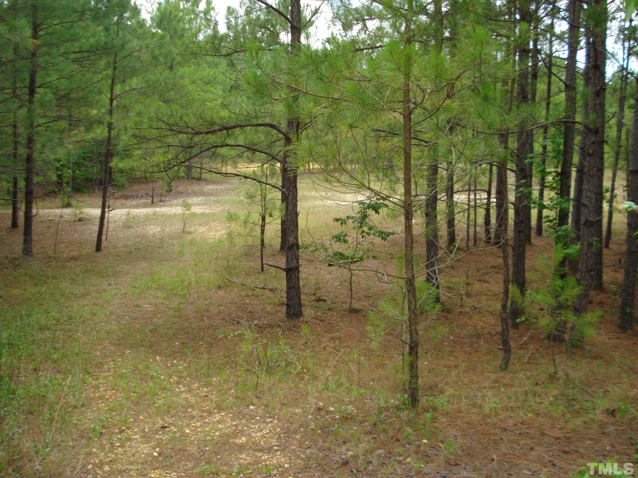 4954 Highway 55 Erwin, NC 28339 - Photo 14 of 24 a view of a outdoor space