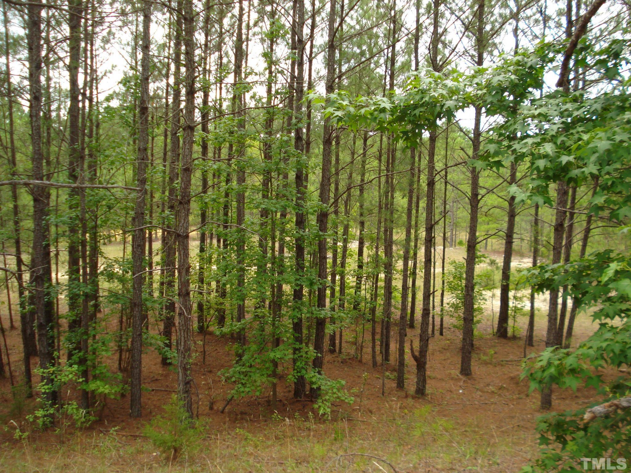 4954 Highway 55 Erwin, NC 28339 - Photo 15 of 24 a view of a garden