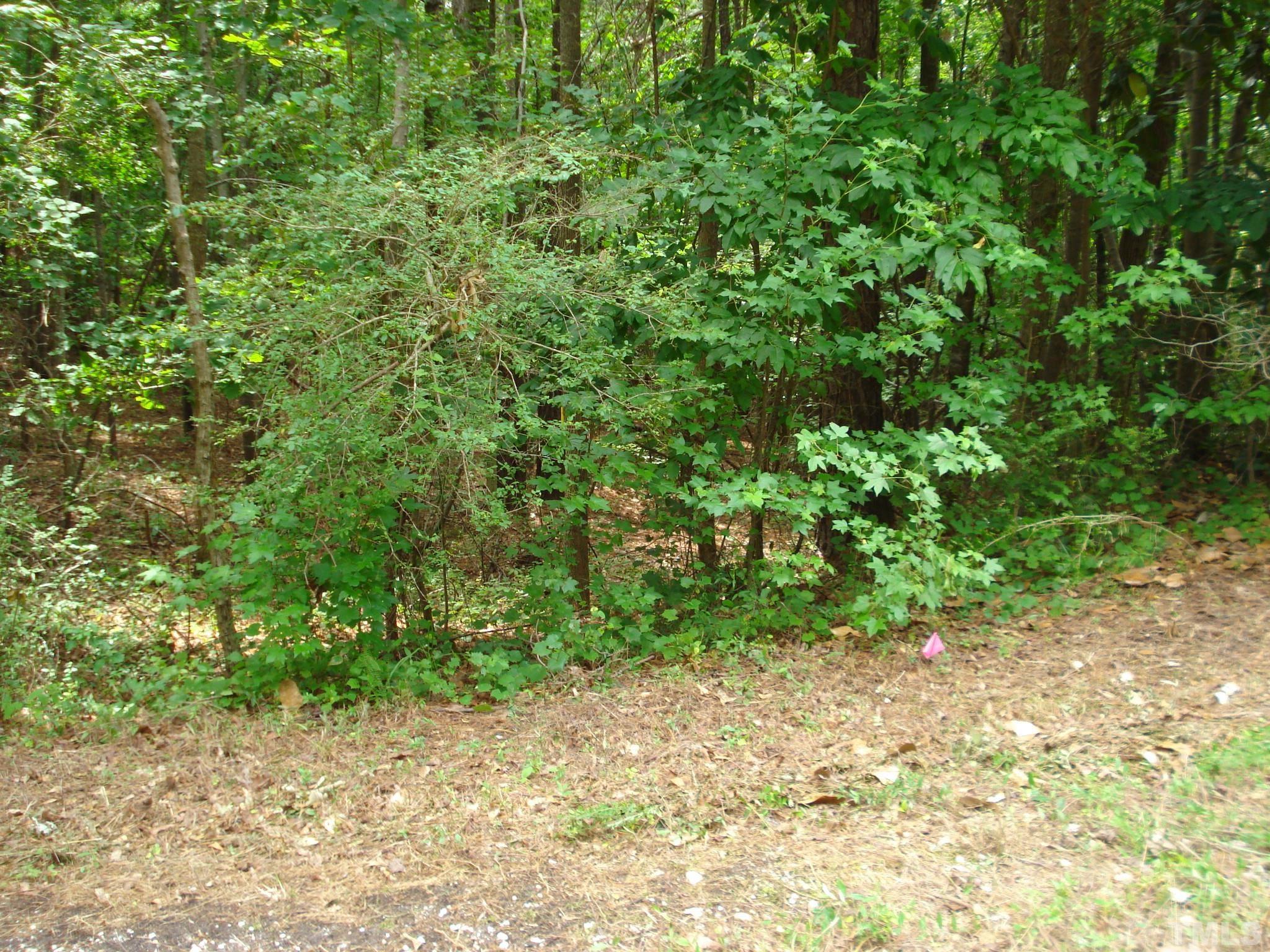 4954 Highway 55 Erwin, NC 28339 - Photo 16 of 24 a backyard of a house with lots of green space