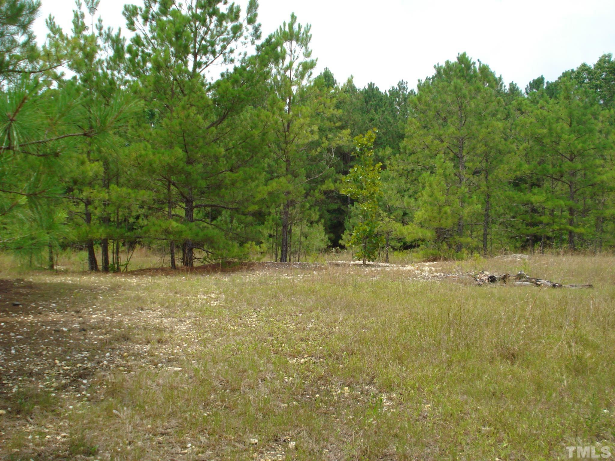 4954 Highway 55 Erwin, NC 28339 - Photo 17 of 24