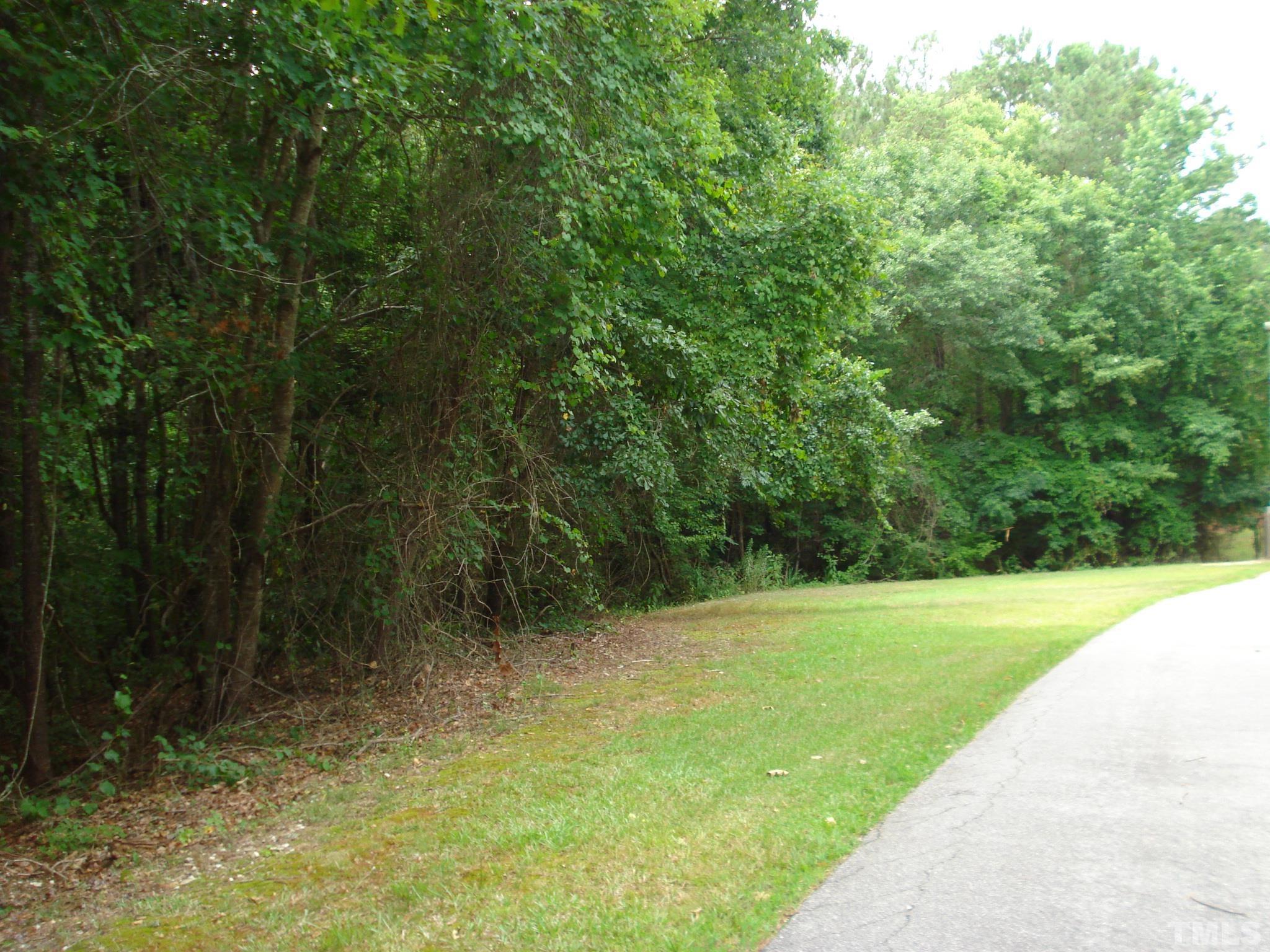 4954 Highway 55 Erwin, NC 28339 - Photo 18 of 24 a view of basketball court