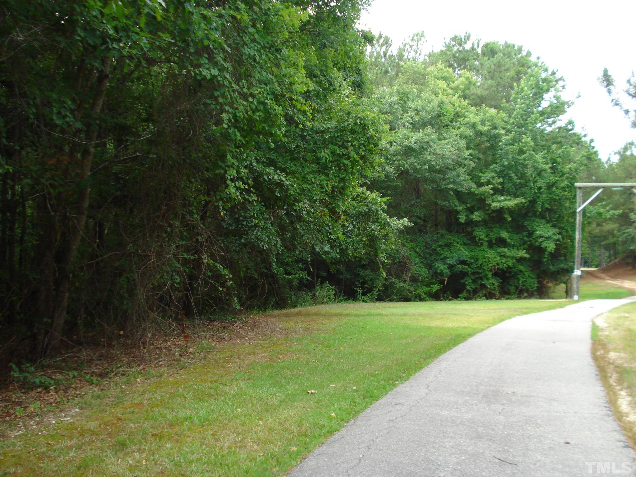4954 Highway 55 Erwin, NC 28339 - Photo 19 of 24 a view of a garden with a pathway