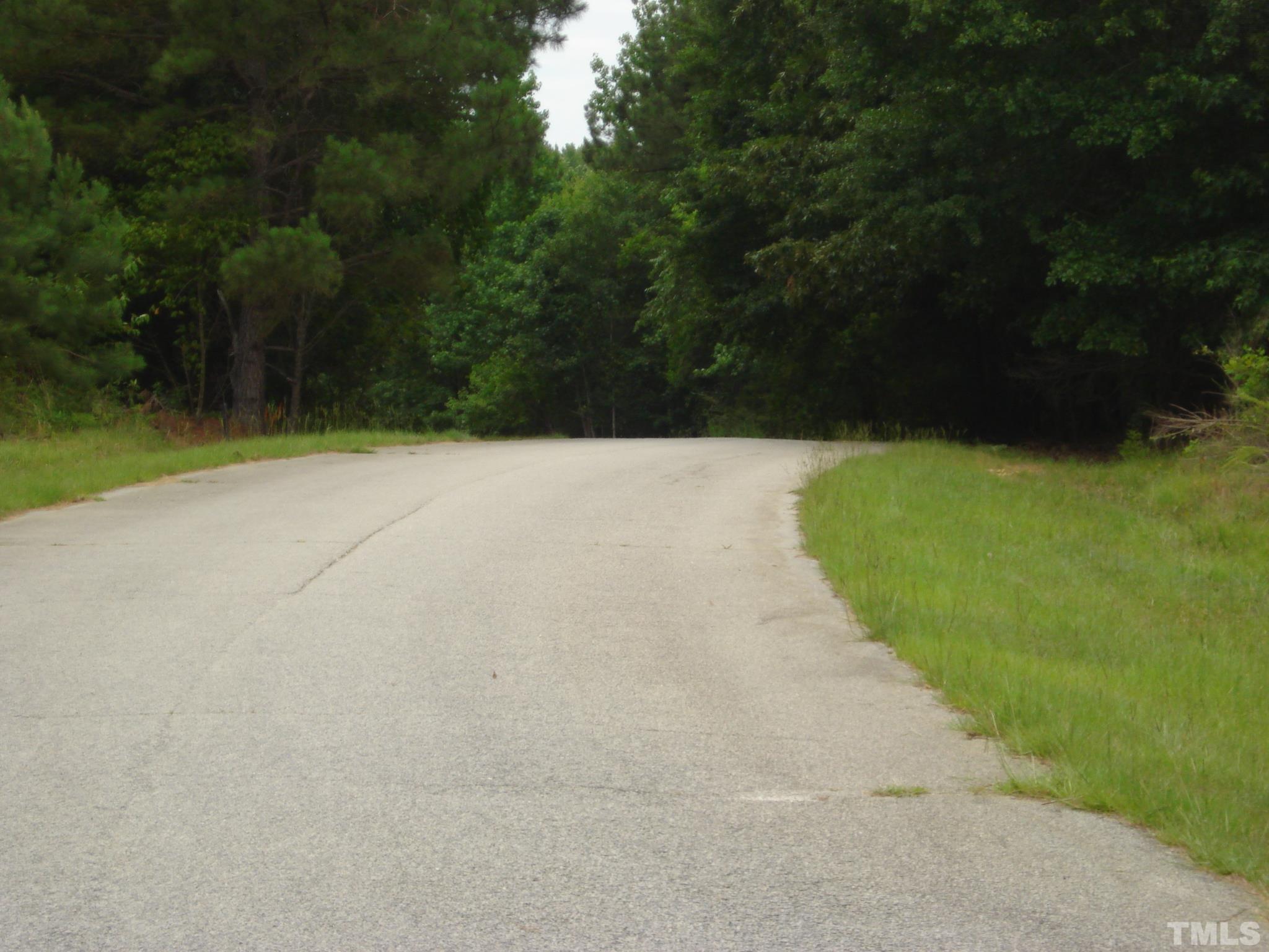4954 Highway 55 Erwin, NC 28339 - Photo 2 of 24 a view of a yard