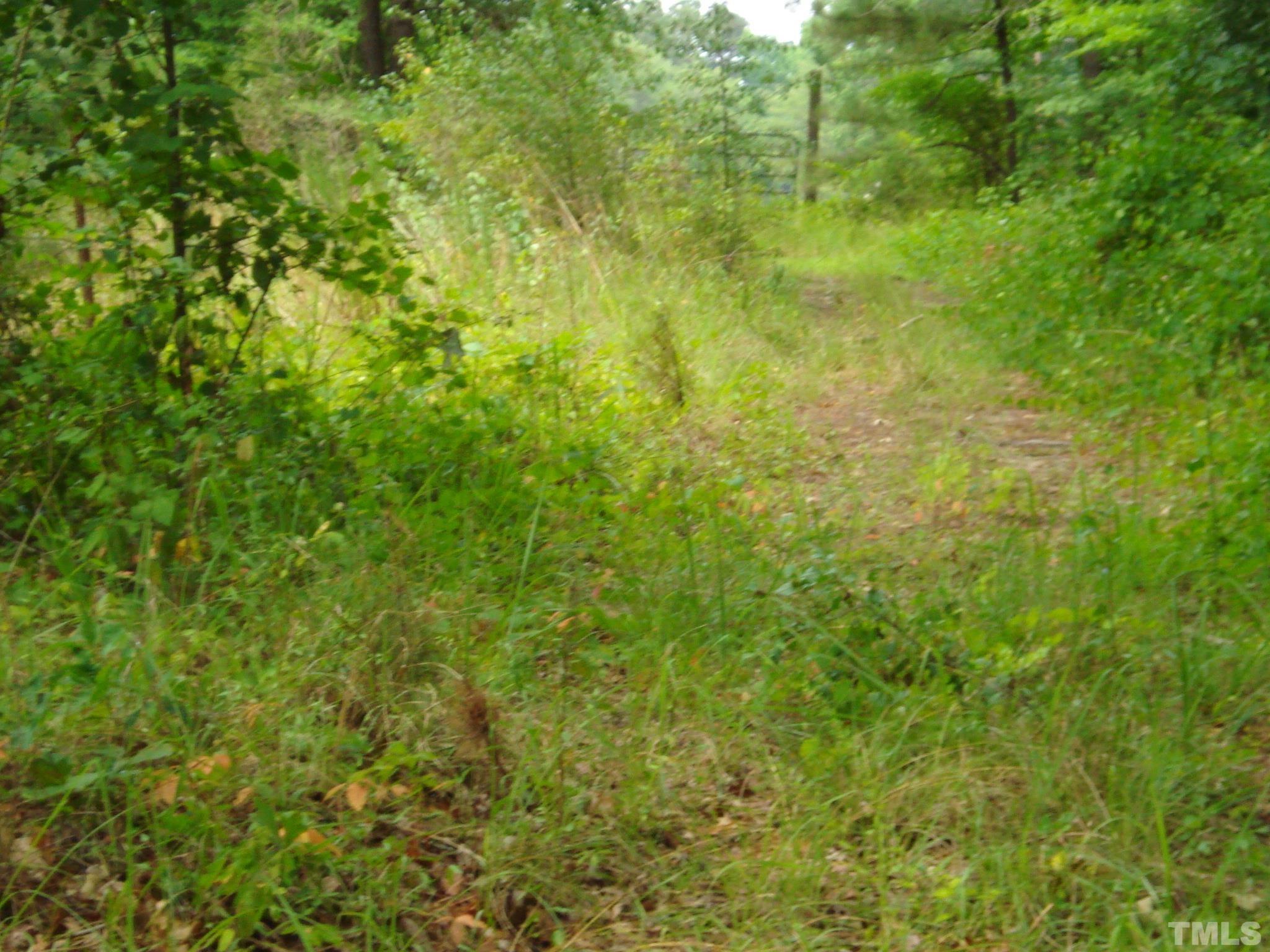 4954 Highway 55 Erwin, NC 28339 - Photo 21 of 24 a view of a big yard with plants and large trees