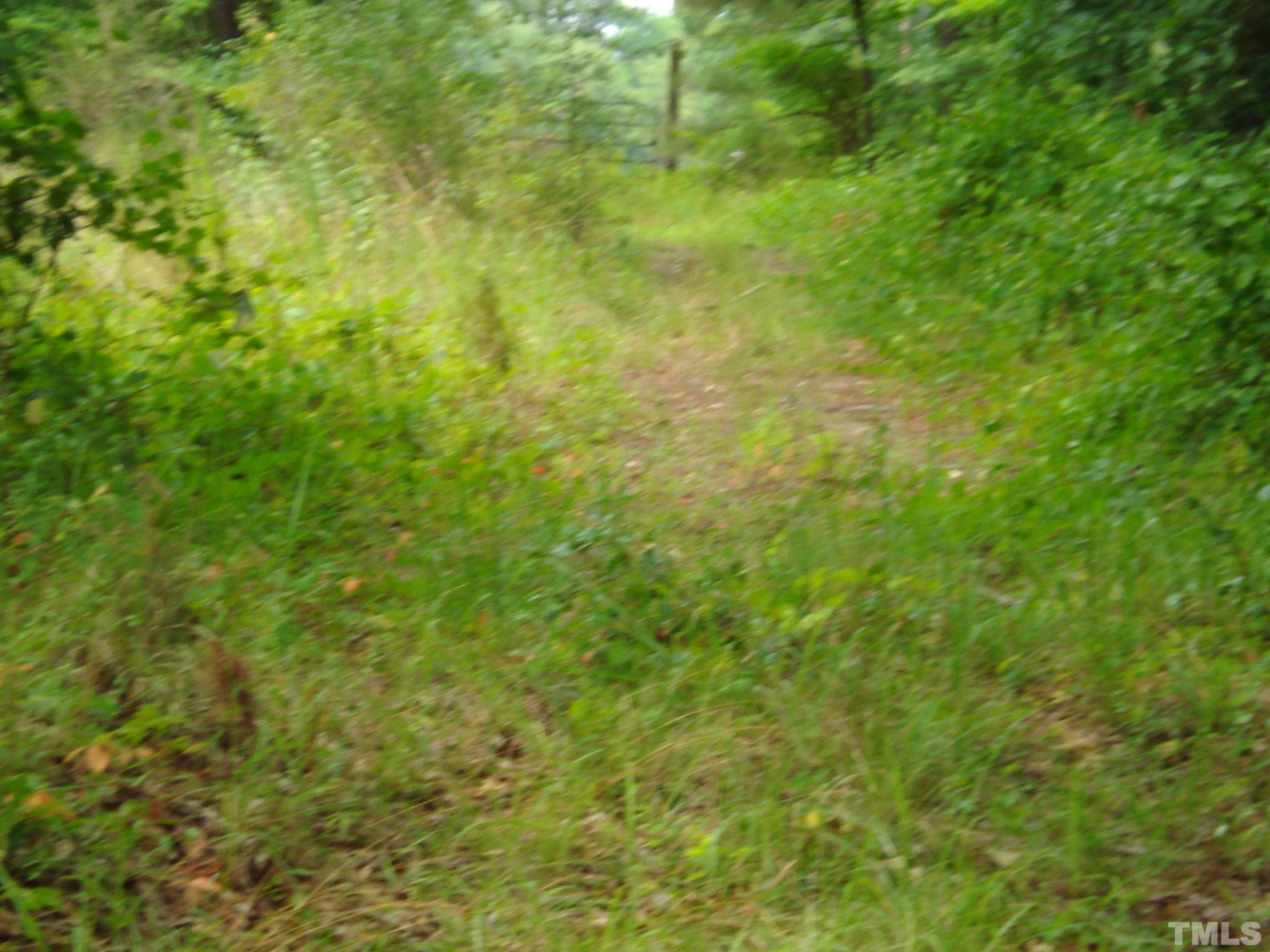 4954 Highway 55 Erwin, NC 28339 - Photo 22 of 24 a view of a big yard