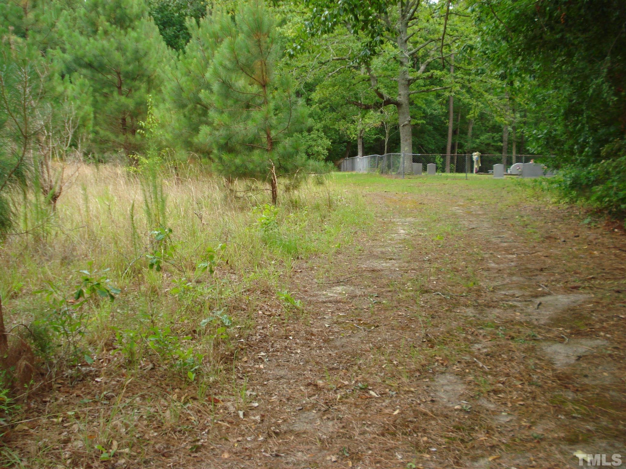 4954 Highway 55 Erwin, NC 28339 - Photo 23 of 24 a view of a yard with a tree