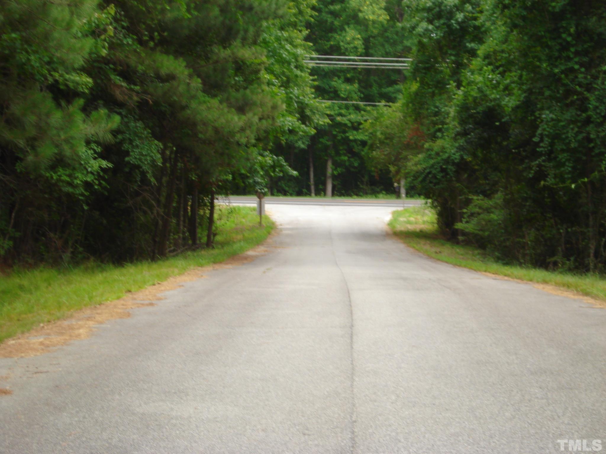 4954 Highway 55 Erwin, NC 28339 - Photo 24 of 24 a view of a yard with potted plants