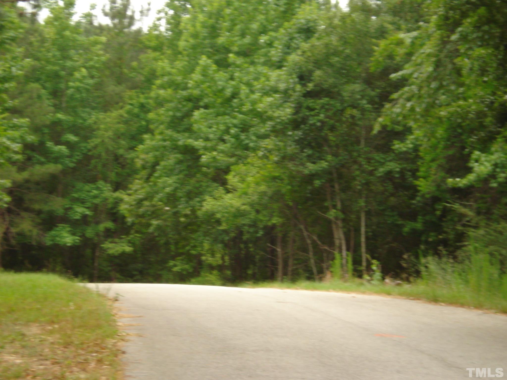 4954 Highway 55 Erwin, NC 28339 - Photo 5 of 24 a view of a field with a trees in the background
