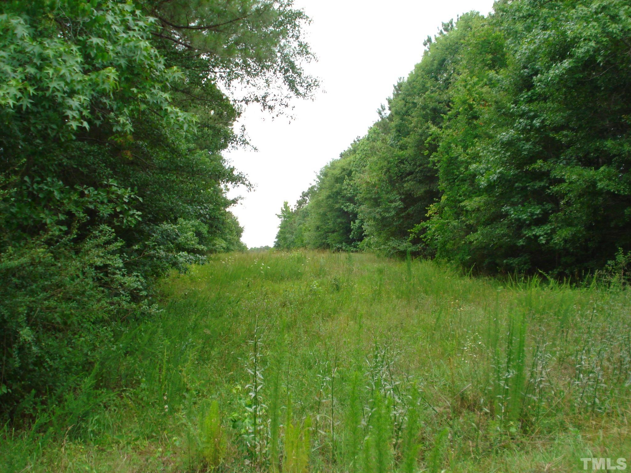 4954 Highway 55 Erwin, NC 28339 - Photo 8 of 24 a view of a lush green space