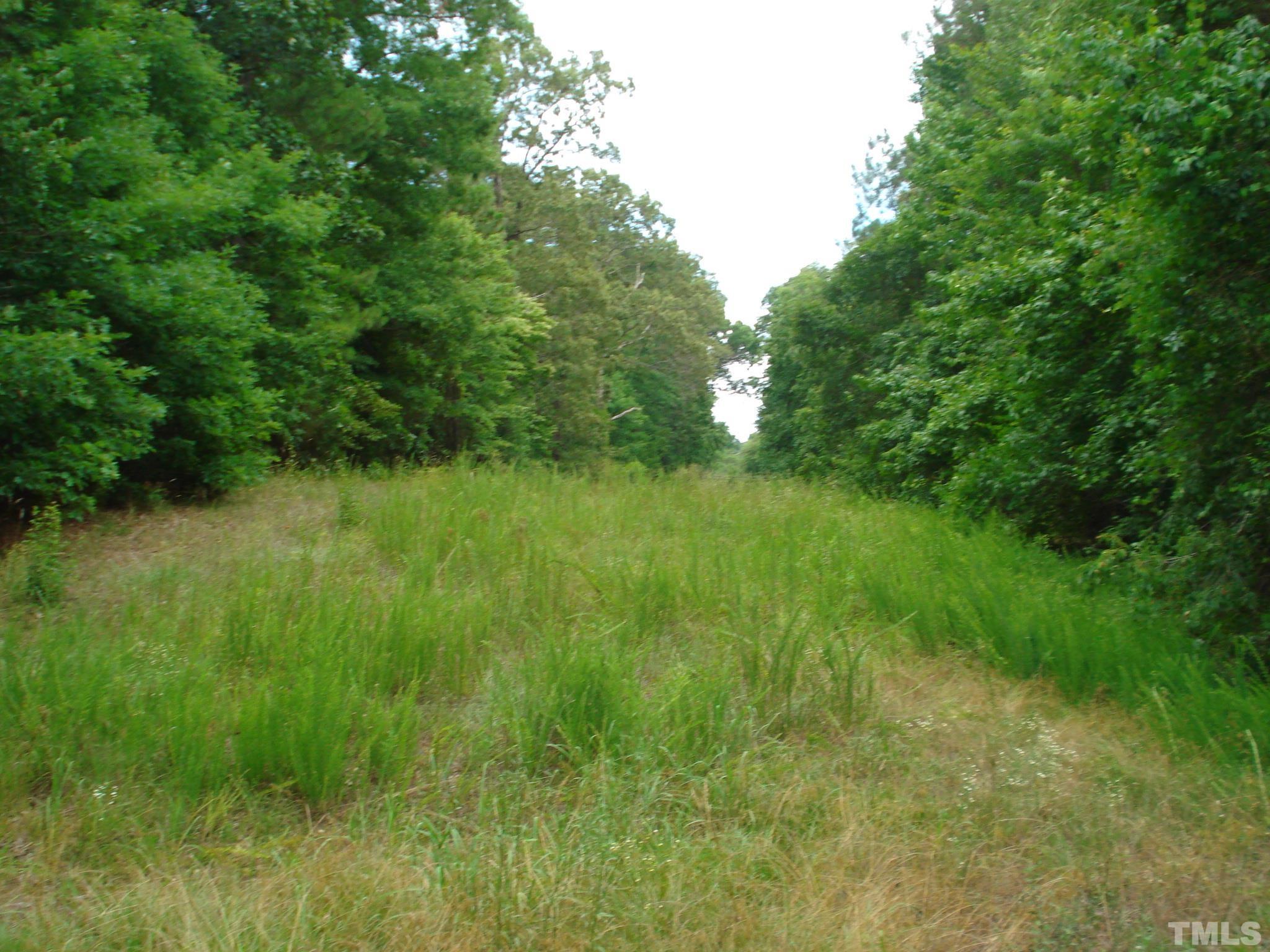 4954 Highway 55 Erwin, NC 28339 - Photo 9 of 24 a view of a garden