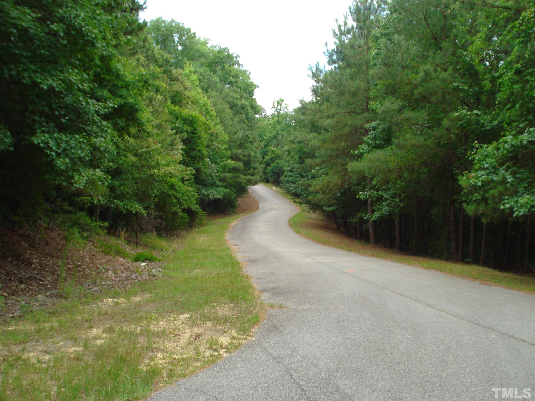 4954 Highway 55 Erwin, NC 28339 - Photo 10 of 24 a view of a water pond with green yard