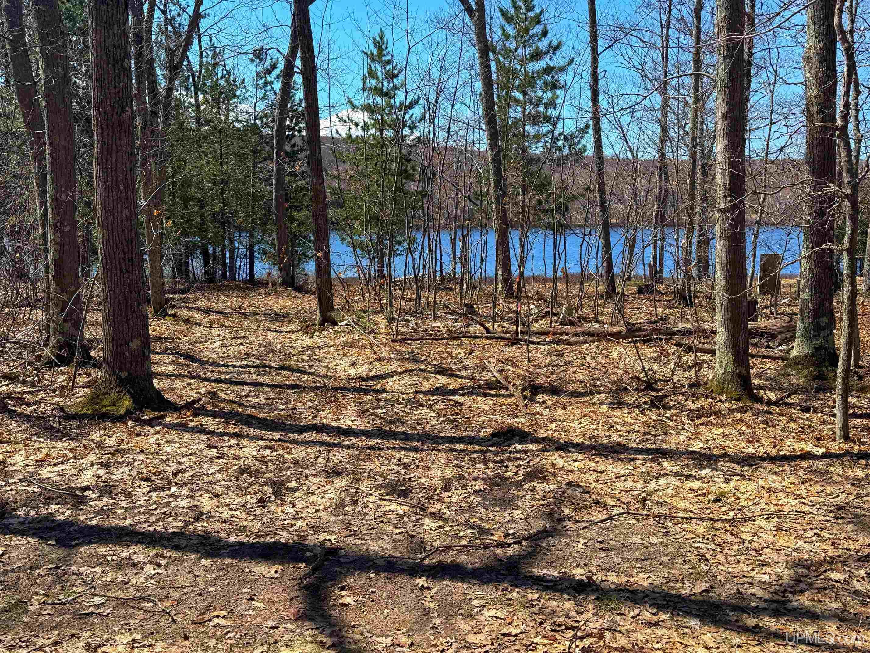 Tbd75 South Tear Lake Road Hancock, MI 49931 - Photo 2 of 14