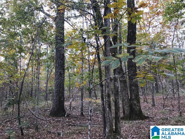 Enclave Drive, Unit 34 Springville, AL 35146 - Photo 3 of 12