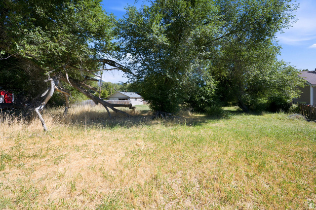 300 East S, Unit 2 Logan, UT 84321 - Photo 12 of 38 Expansive yard space featuring mature trees and a combination of green and dry grasses
