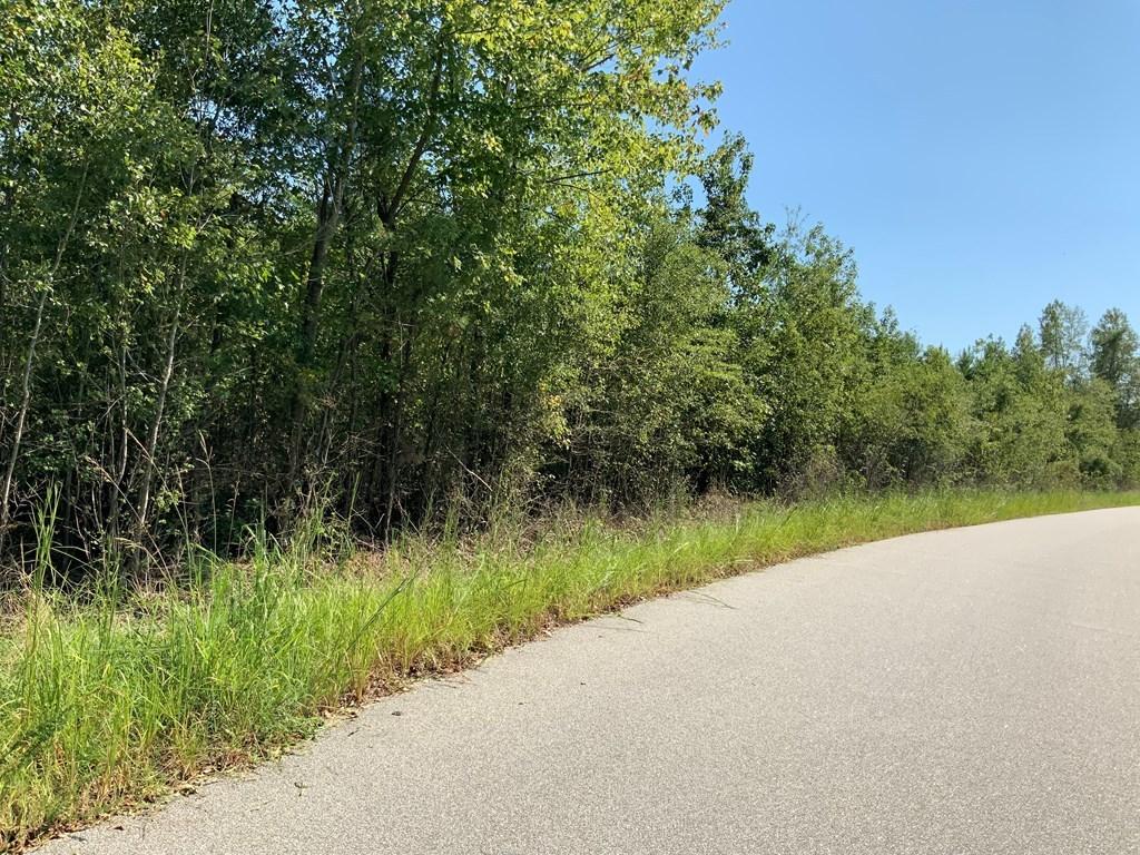 Tract #1 M W Rickenbaker Road Summerton, SC 29148 - Photo 3 of 12 tract1a