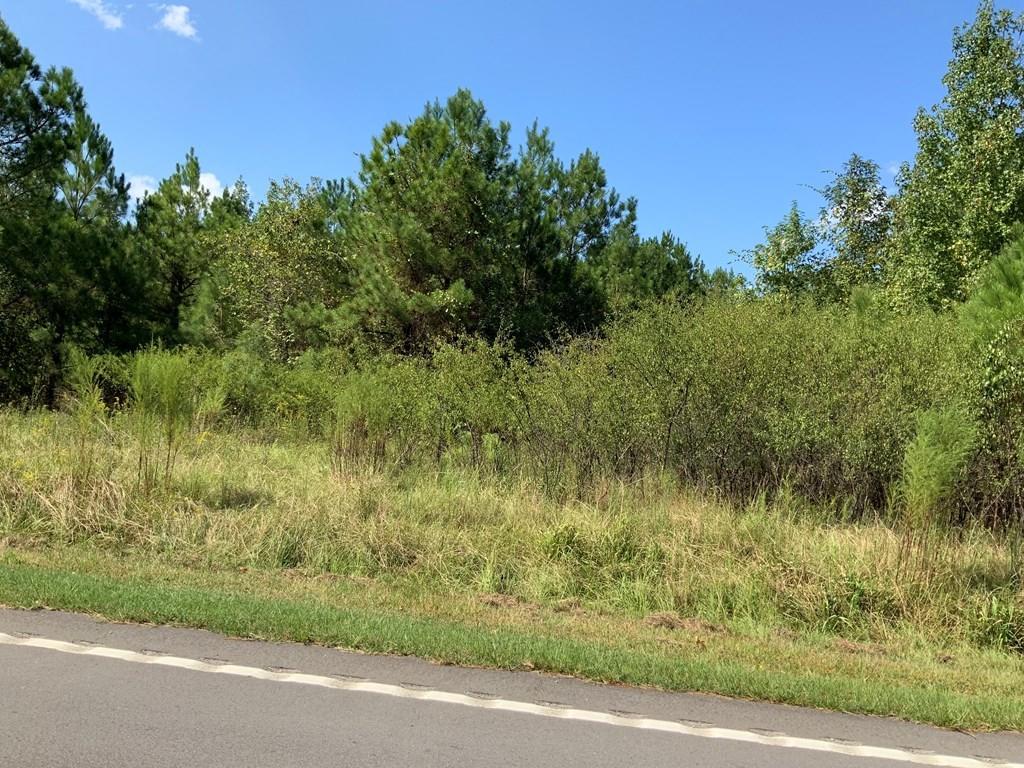 Tract #1 M W Rickenbaker Road Summerton, SC 29148 - Photo 5 of 12 tract1c