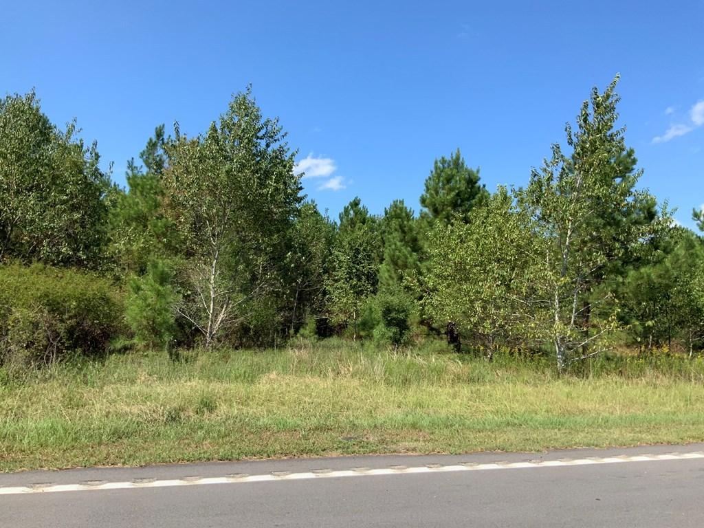 Tract #1 M W Rickenbaker Road Summerton, SC 29148 - Photo 7 of 12 tract1f