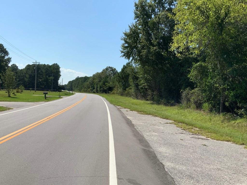 Tract #1 M W Rickenbaker Road Summerton, SC 29148 - Photo 9 of 12 tracth