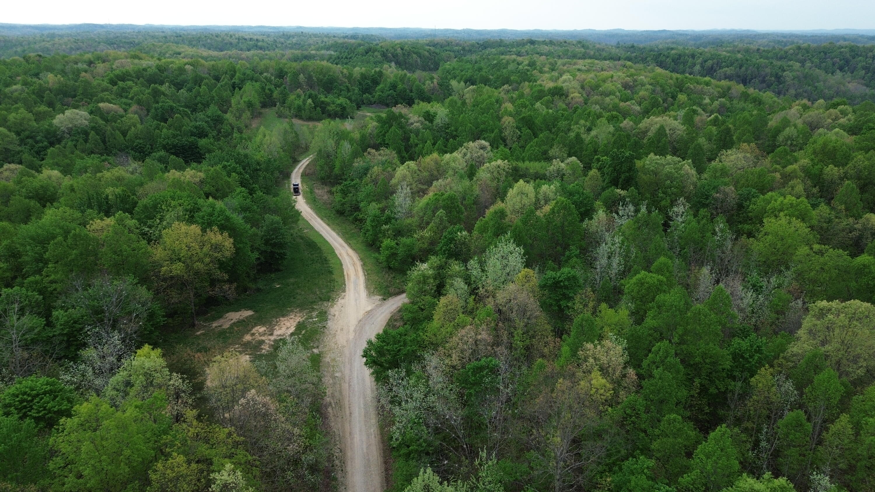 1271 A Tunnel Ridge Road Grayson, KY 41143 - Photo 6 of 134 Farm Entry