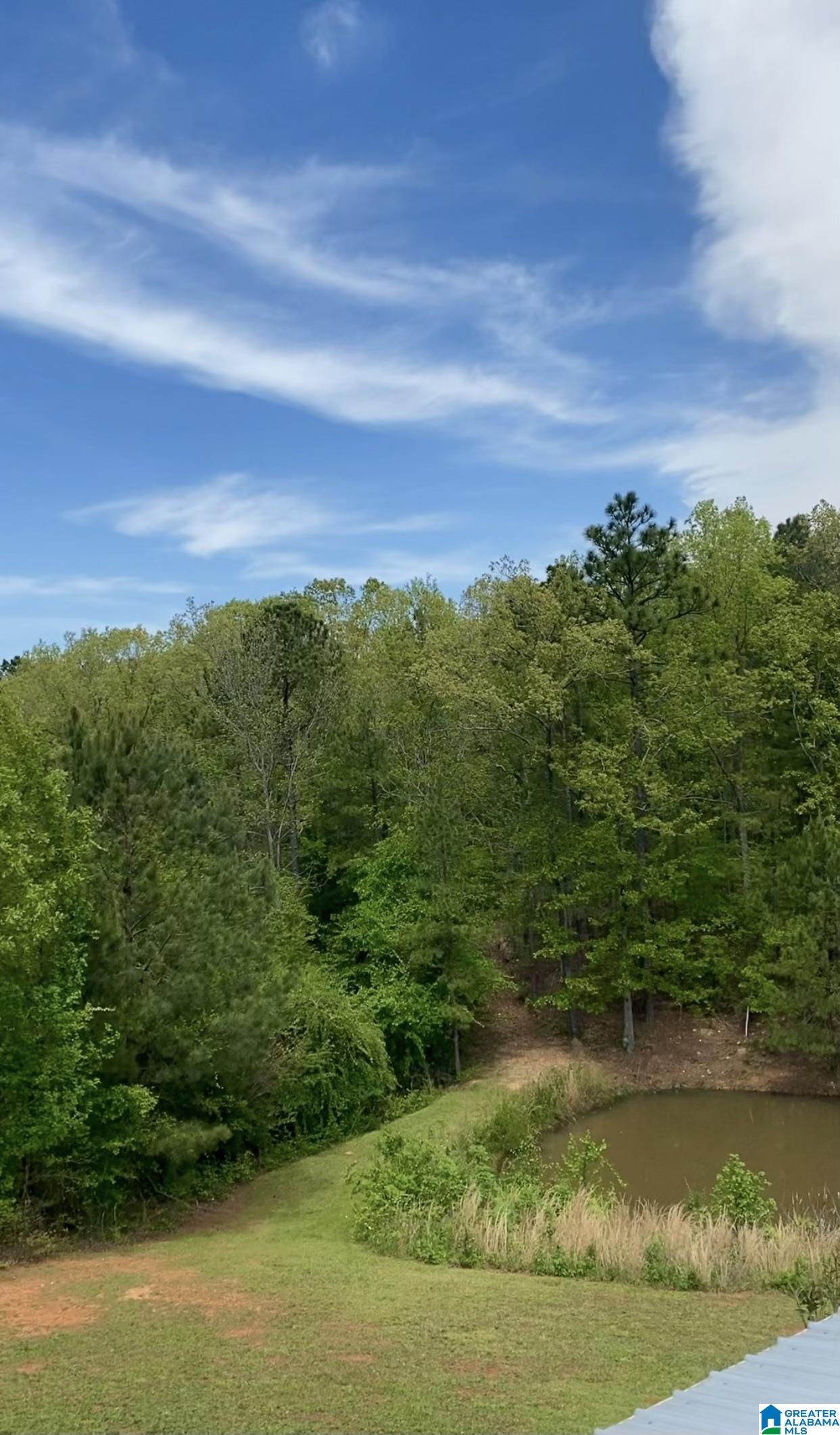 3041 Allison Mill Road Talladega, AL 35160 - Photo 25 of 37