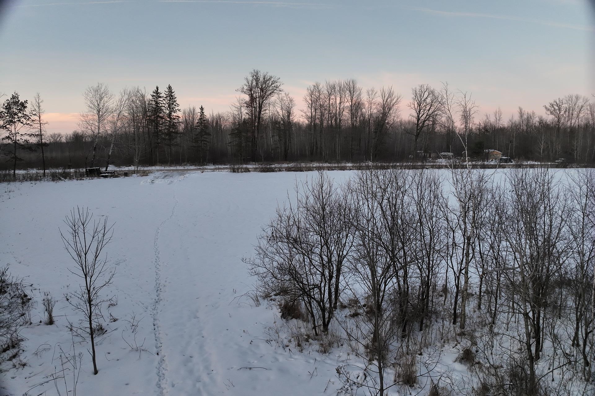 65.32-acres Bobwhite Road Neillsville, WI 54456 - Photo 23 of 26