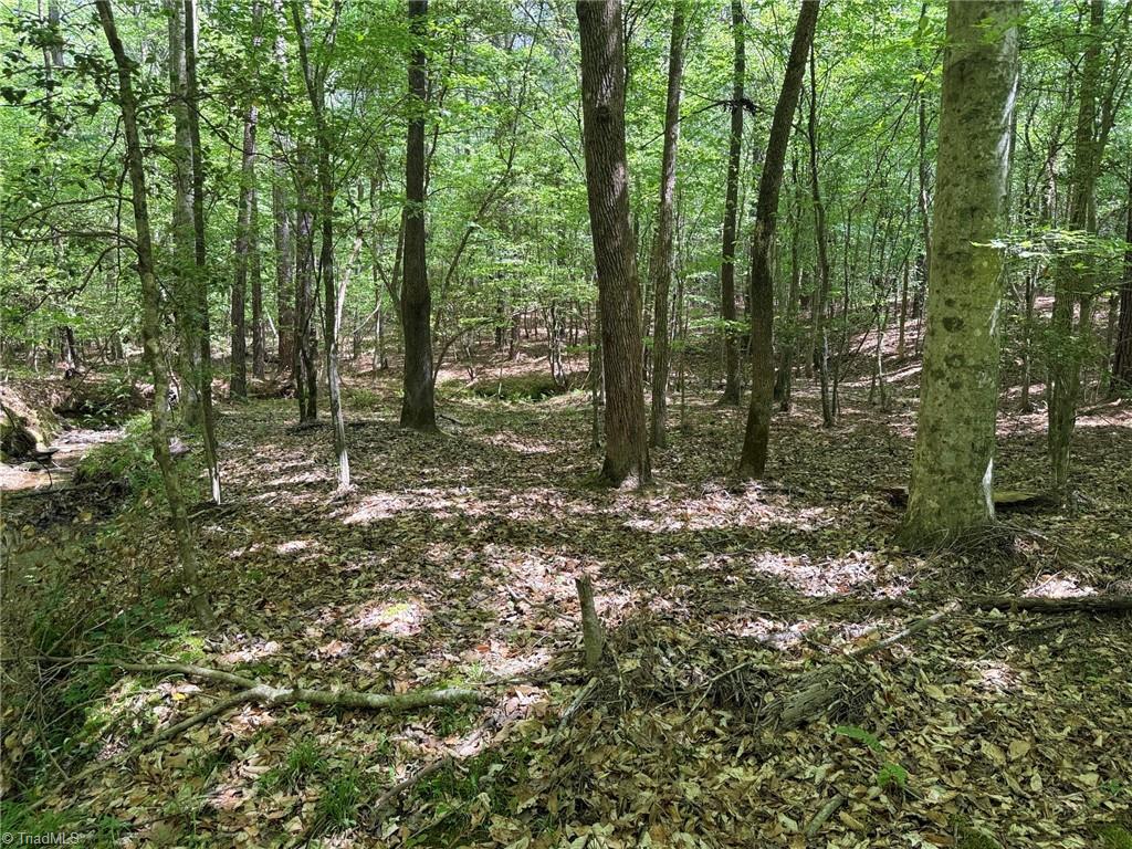 Lot 5 Woods Road Seagrove, NC 27341 - Photo 2 of 9
