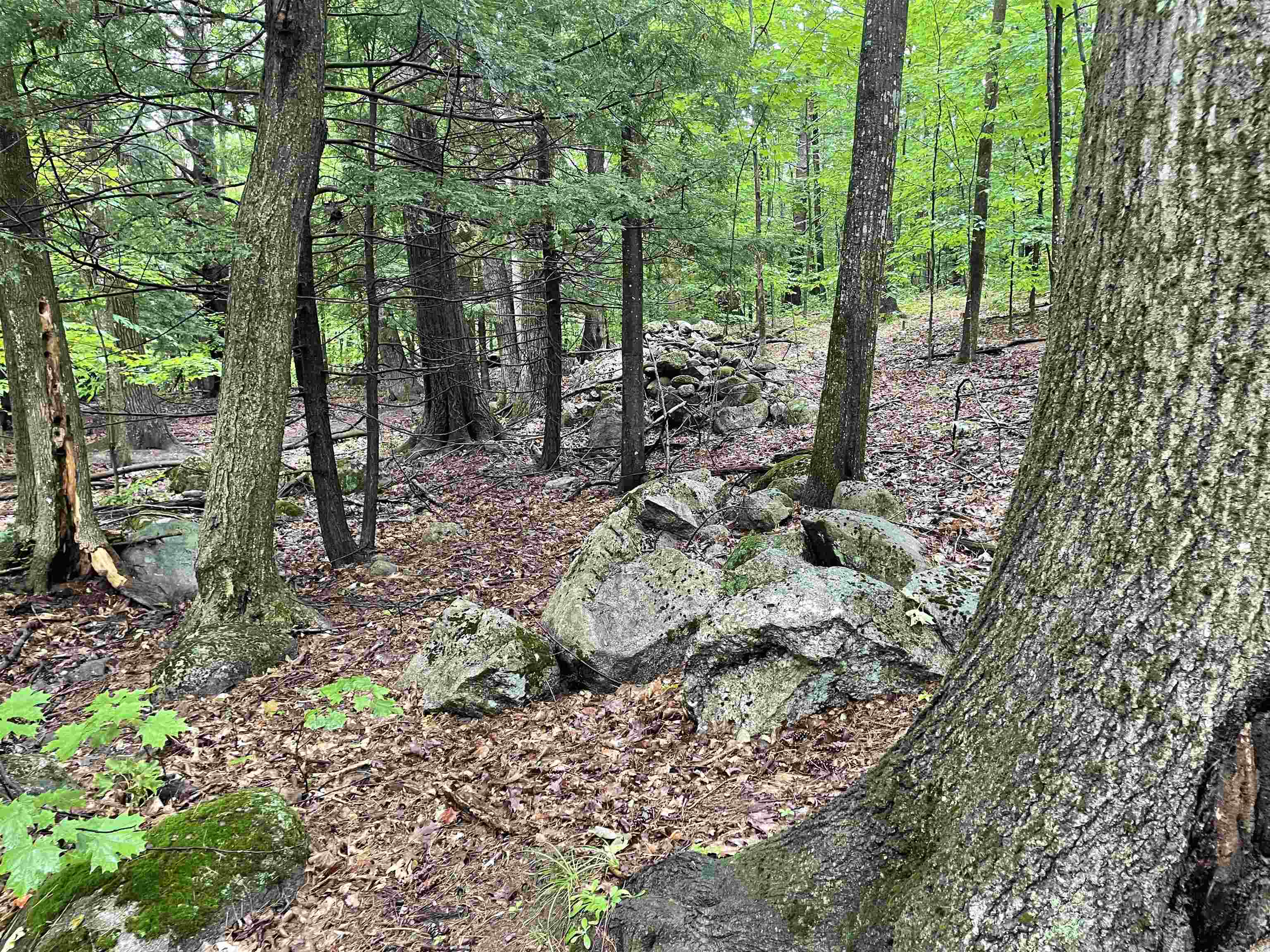 Reservation Road Deerfield, NH 03037 - Photo 22 of 23