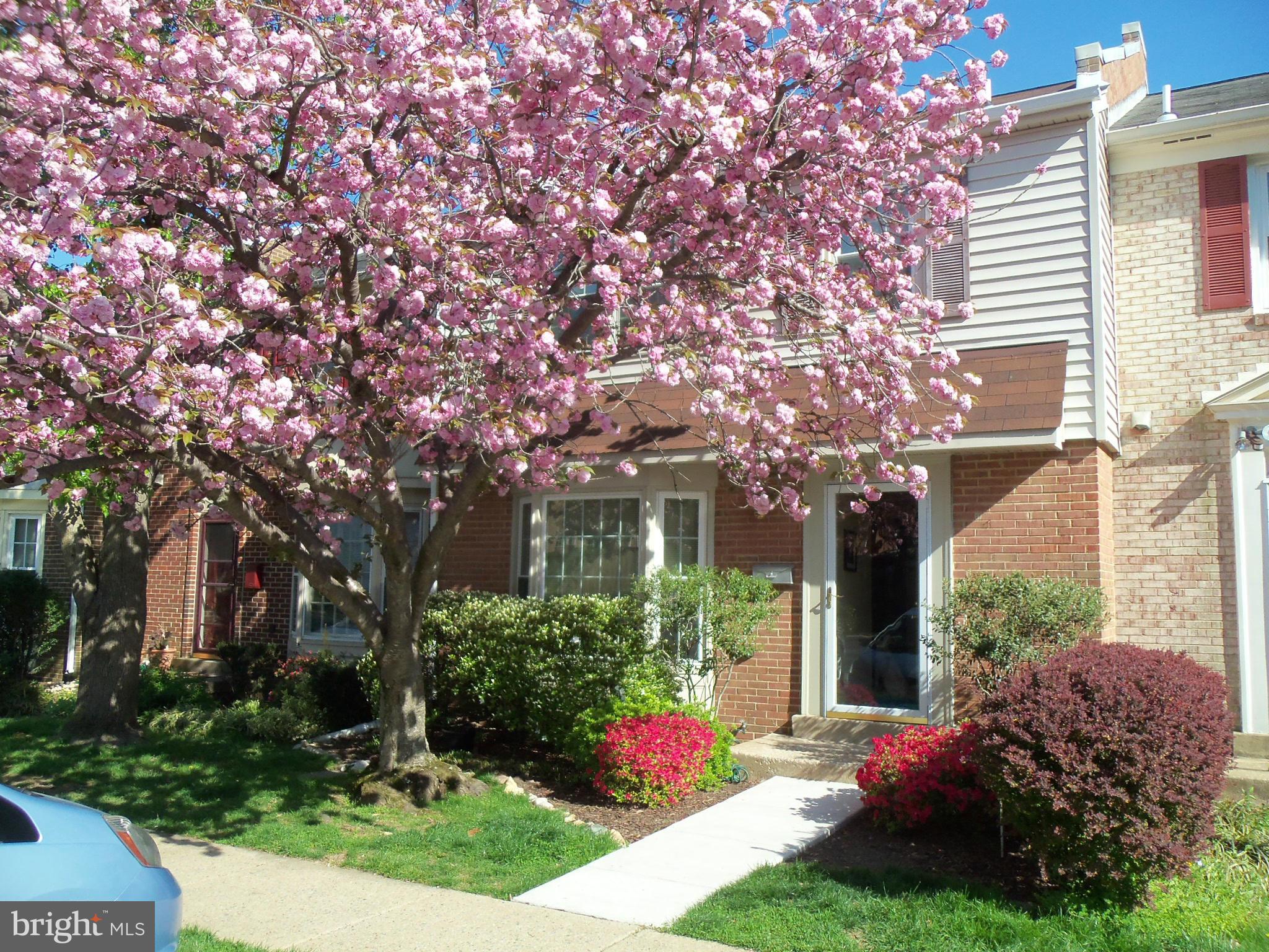 8112 Sleepy View Lane Springfield, VA 22153 - Photo 1 of 30 Exterior (Front)