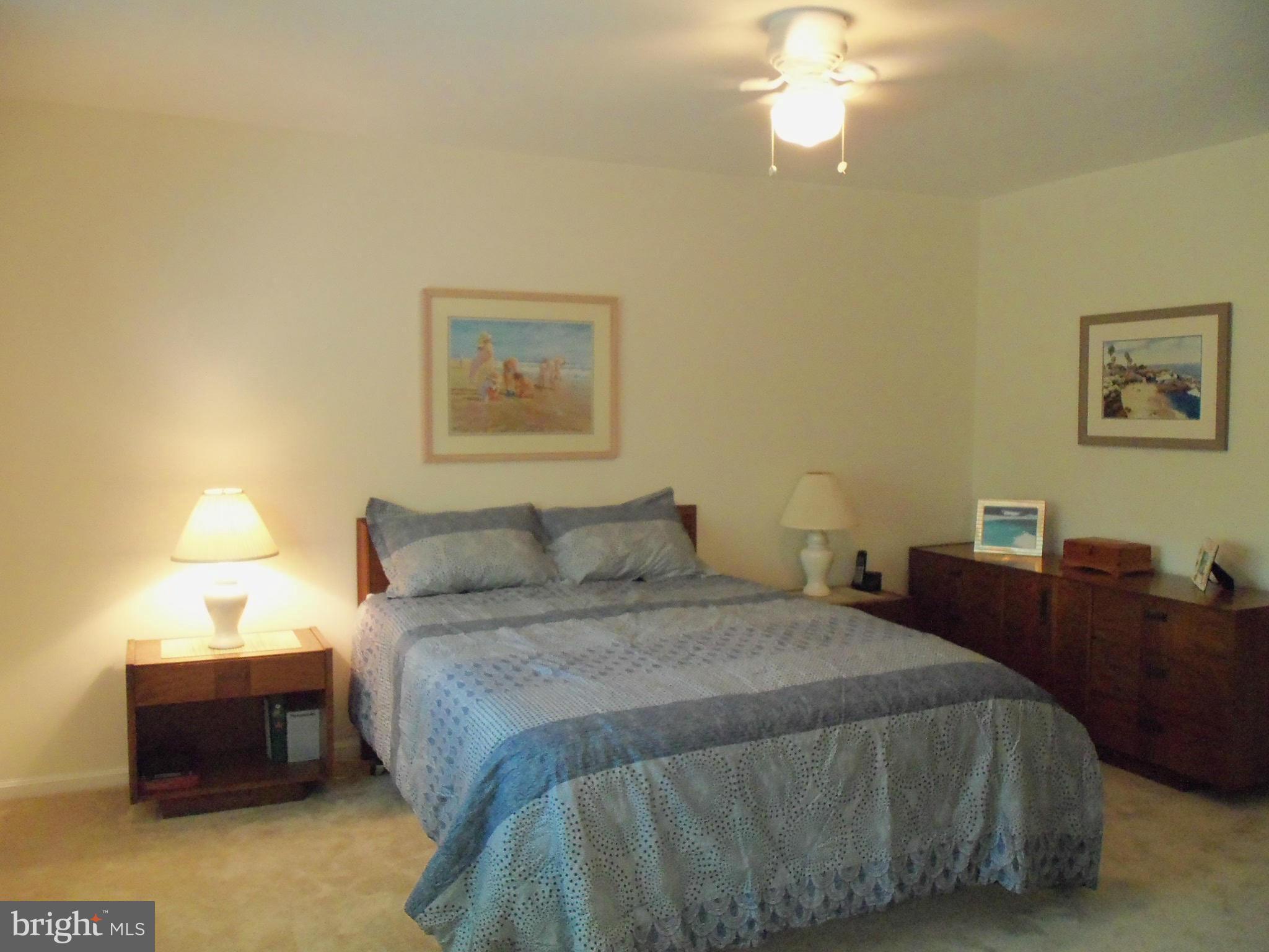 8112 Sleepy View Lane Springfield, VA 22153 - Photo 17 of 30 CEILING FAN
