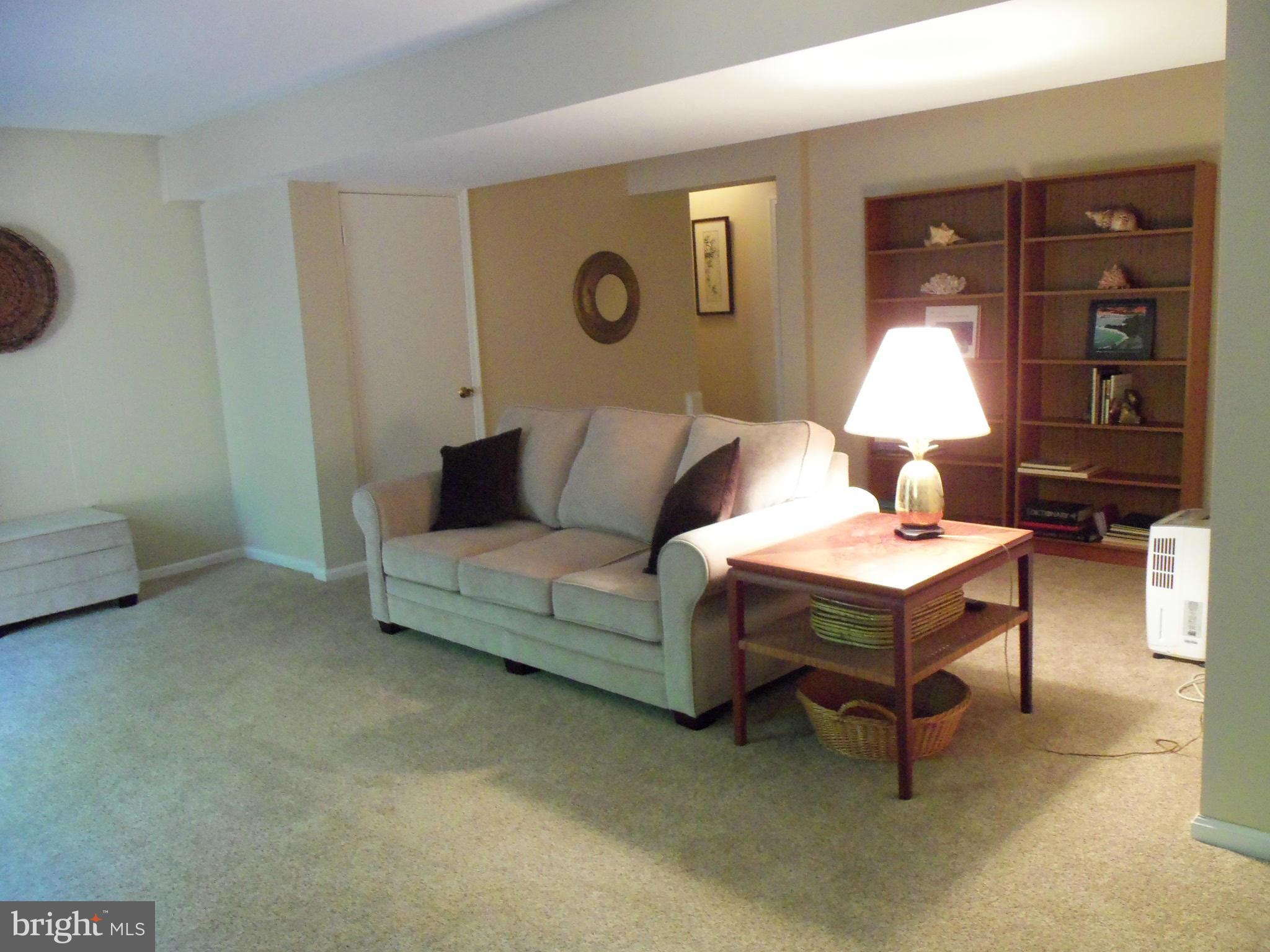 8112 Sleepy View Lane Springfield, VA 22153 - Photo 25 of 30 SPACIOUS REC ROOM