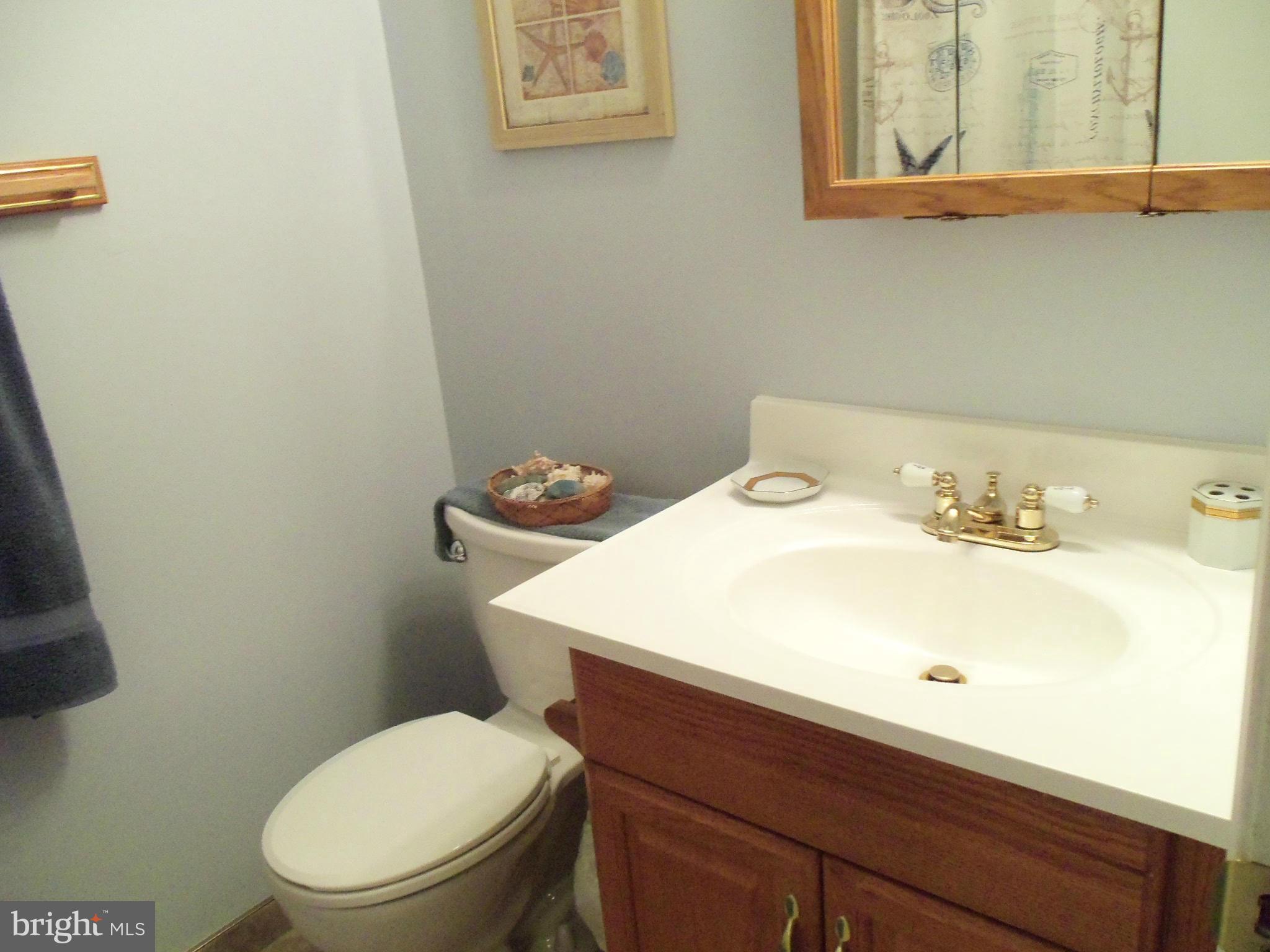 8112 Sleepy View Lane Springfield, VA 22153 - Photo 28 of 30 HALF BATH IN BASEMENT