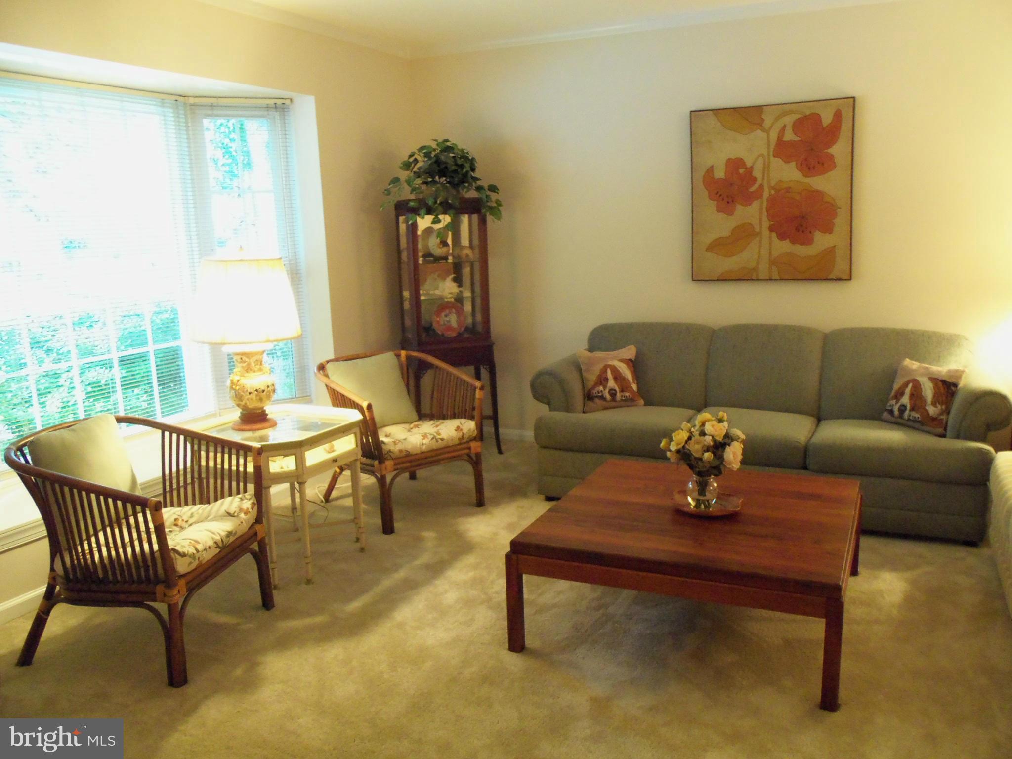 8112 Sleepy View Lane Springfield, VA 22153 - Photo 5 of 30 BRIGHT LIVING ROOM