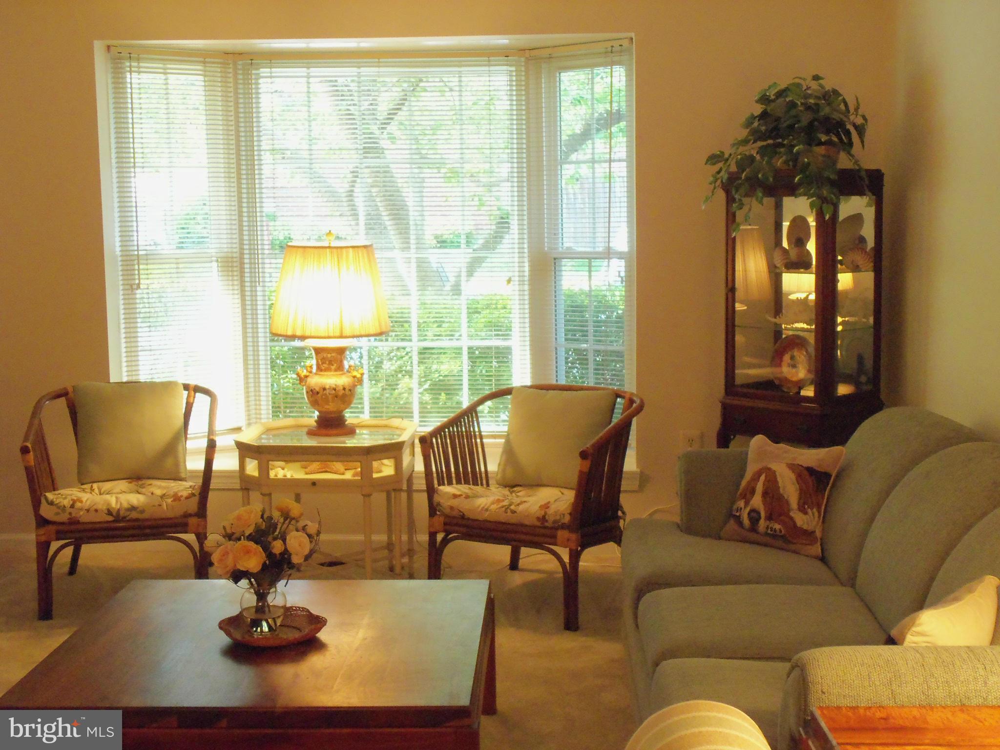 8112 Sleepy View Lane Springfield, VA 22153 - Photo 7 of 30 VIEW FROM DINING ROOM