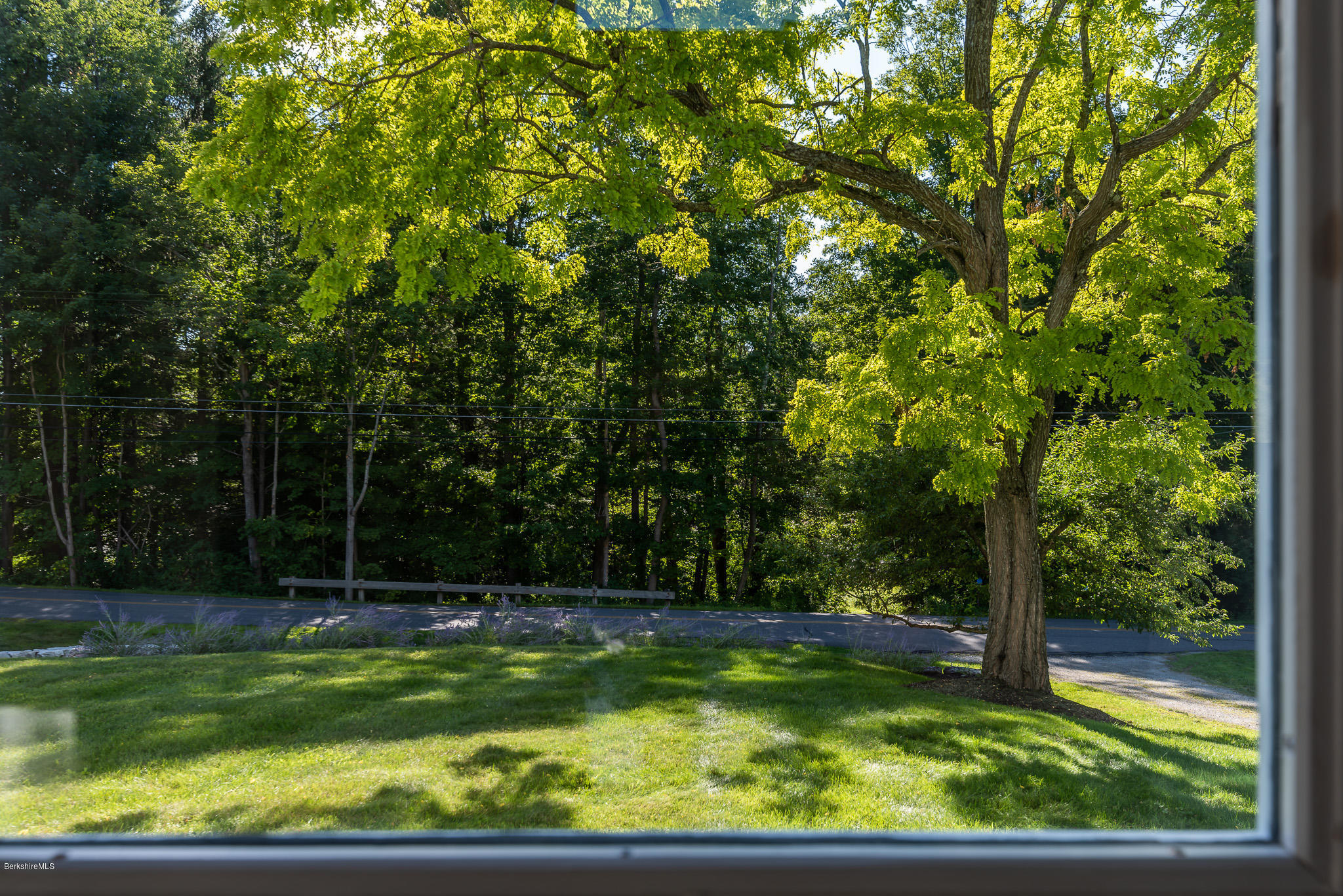 300 E Road Alford, MA 01266 - Photo 47 of 51 a view of a back yard