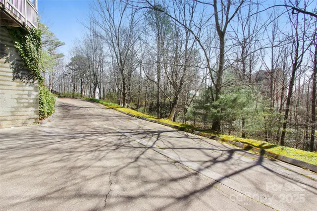 a row of palm trees and sign board